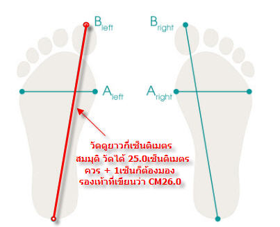 การวัดเท้า.jpg