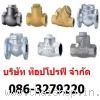 วูซังวาล์ว บอลเช็ควาล์ว สวิงเช็ควาล์ว เช็ควาล์วกันย้อนกลับ เช็ควาล์ว แพนเช็ควาล์ว Check Valve 