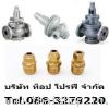 วาล์ว เช็ควาล์ว วาล์วทองเหลือง แพนเ...