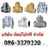 เช็ควาล์วกันย้อนกลับ เช็ควาล์ว สวิง...