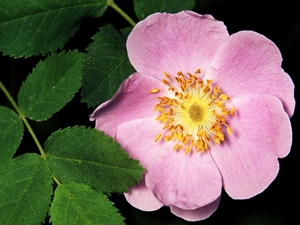 2179_1024x768.jpg