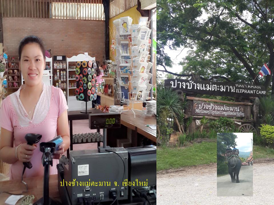 pangchang.jpg