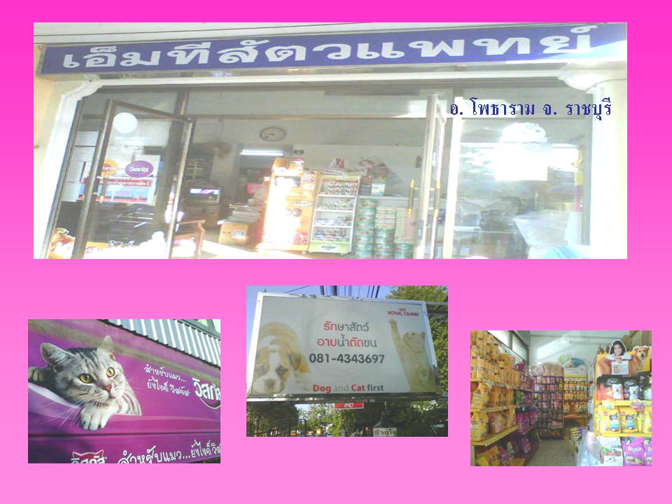Ratchaburi1.jpg