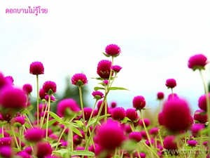 3306_1024x768.jpg