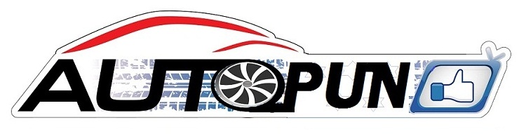 logoautopun.jpg