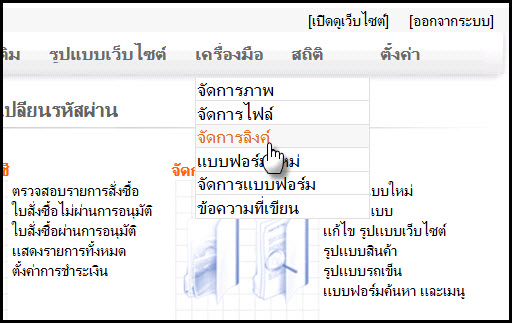 links_manager1.jpg