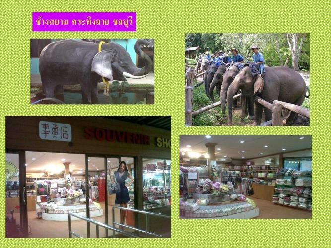 Chonburi Chang.jpg